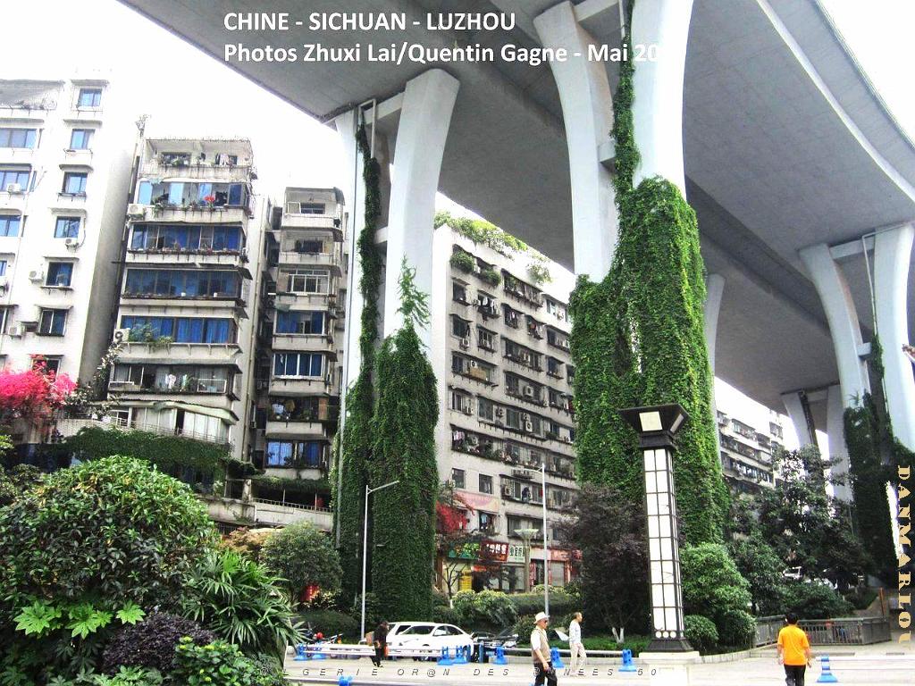 Luzhou 124.JPG